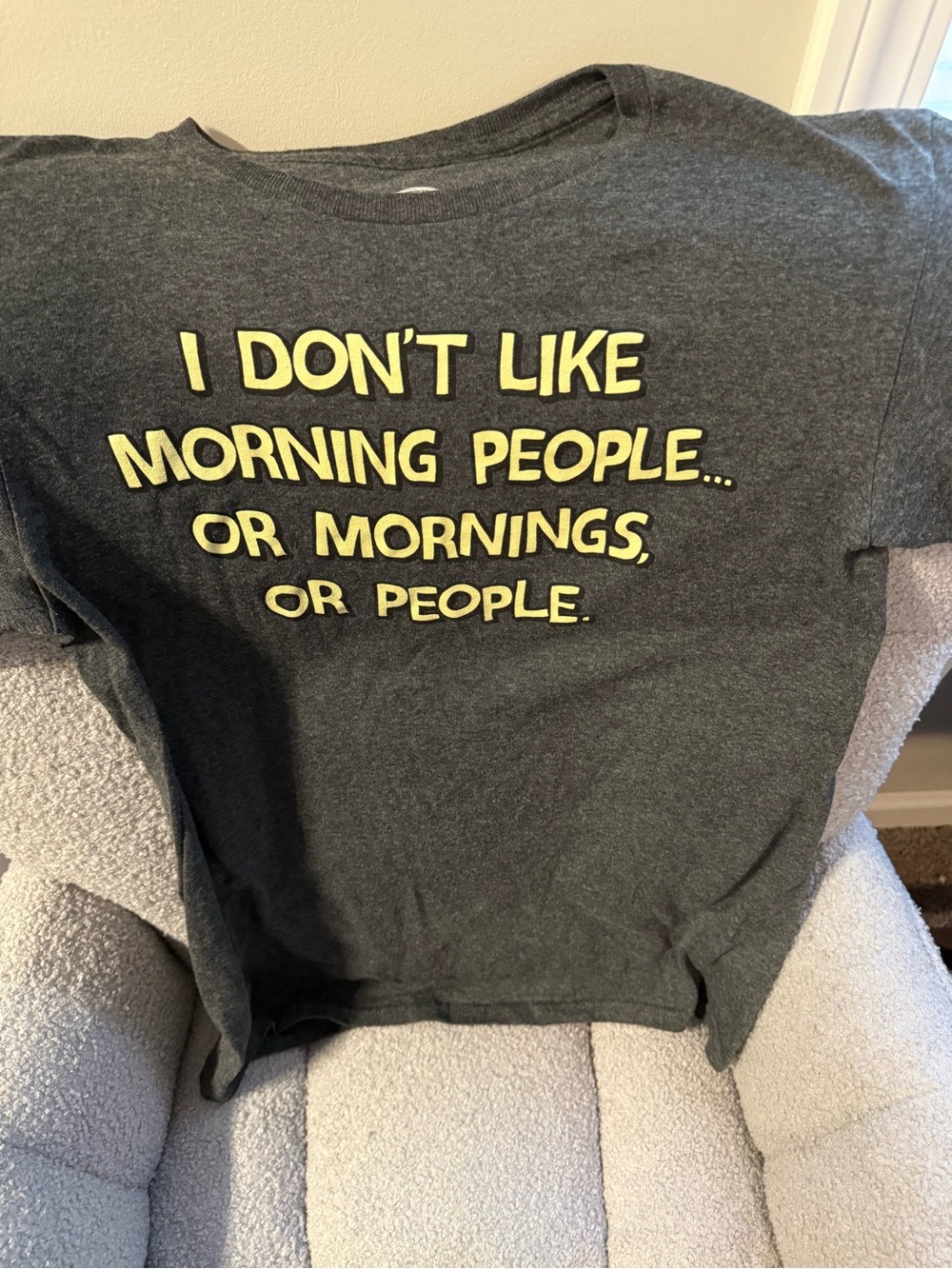 Charcoal Graphic Tee - "I Don't Like Morning People"
